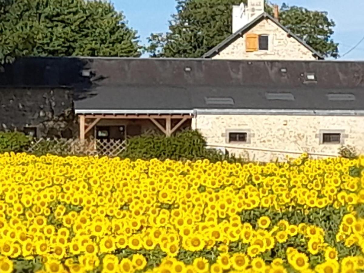 3 Self-Contained Gites With Pool And Games Room Saint-Georges-de-Noisné Exterior foto